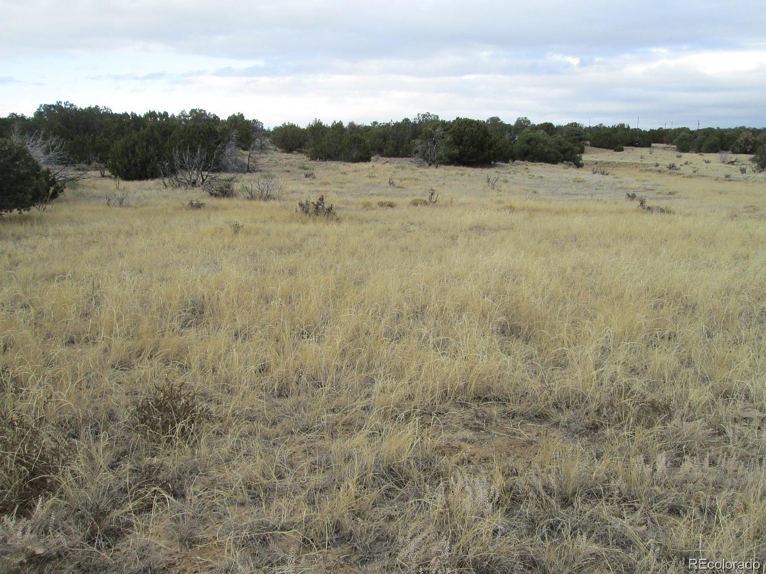 Lot 610 Rio Cucharas Phs 2 Lot 610, Walsenburg, CO 81089 MLS 4306621
