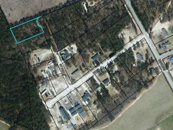 25 Saint Pauls Ln, Bishopville, SC 29010