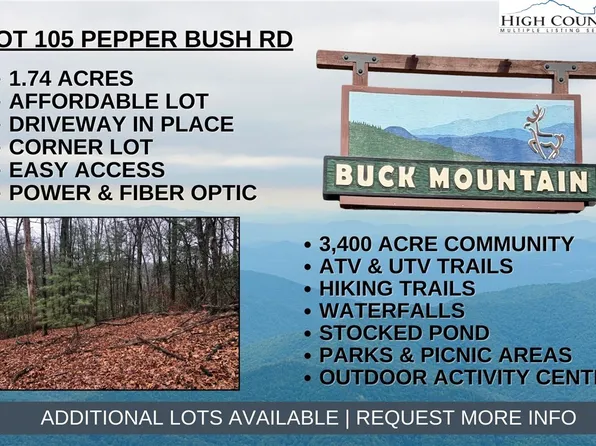 Lot 105 Pepper Bush Road, Purlear, NC 28665