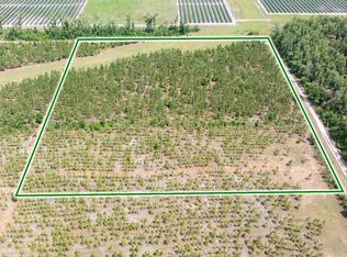 199th Pl, Live Oak, FL 32060