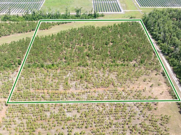 199th Pl, Live Oak, FL 32060