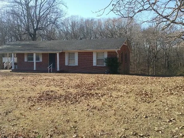 3290 Rock Springs Rd, Wildersville, TN 38388
