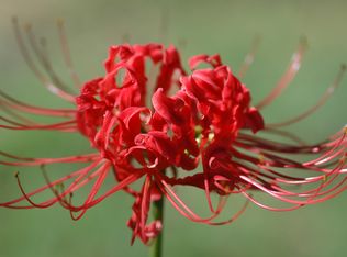 797 S Highway 82, Locust Grove, OK 74352