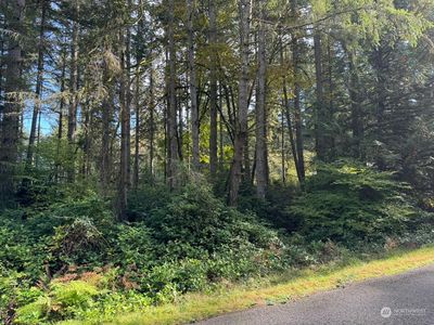 11503 Lake Josephine Avenue, Anderson Island, WA, 98303