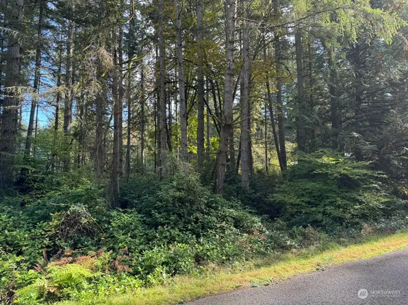 11503 Lake Josephine Avenue, Anderson Island, WA 98303
