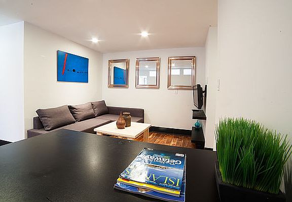 4th image of 179 Grand St APT 2E