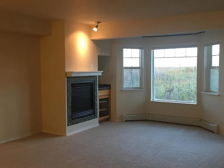11351 Discovery View Dr — Photo 1