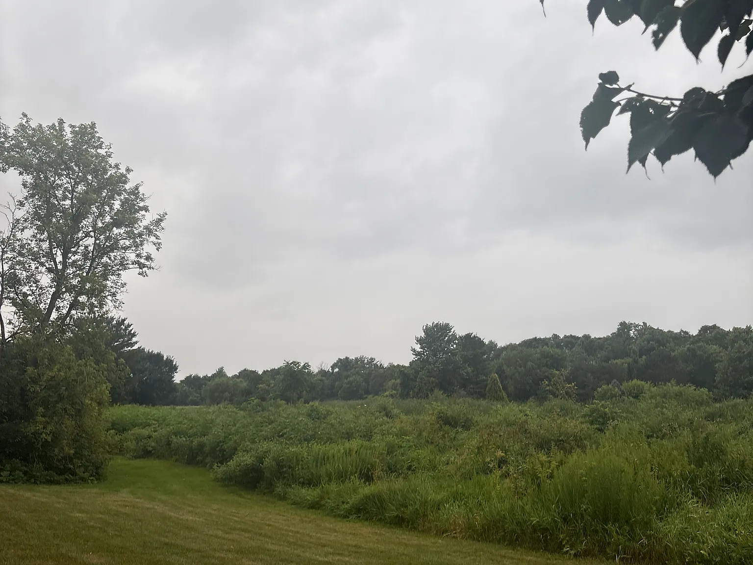 2 bed, 925 sqft, $1,225 — Photo 4