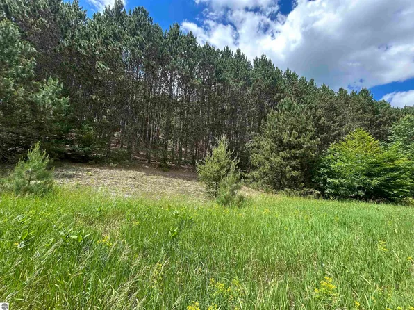 PARCEL 6 Wildwood Trl, Mancelona, MI 49659