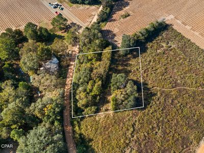 Leamon Smith Rd, Bonifay, FL, 32425