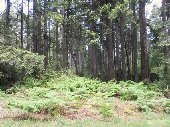 10318 Totem Way, Anderson Island, WA 98303