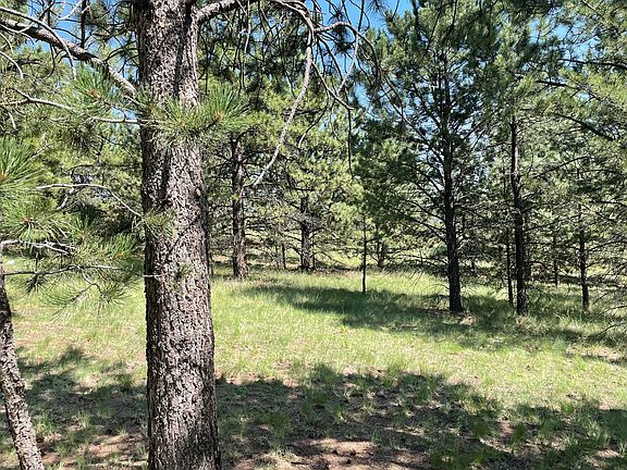 4th image of 1065 County Road 12