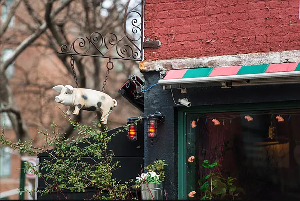 Rented by Compass | media 17