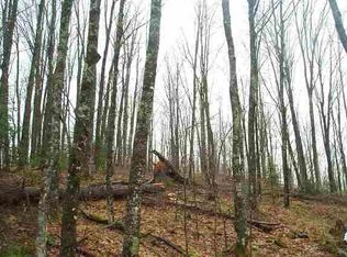 LOT 1 Mineral Lake Rd, Marengo, WI 54855