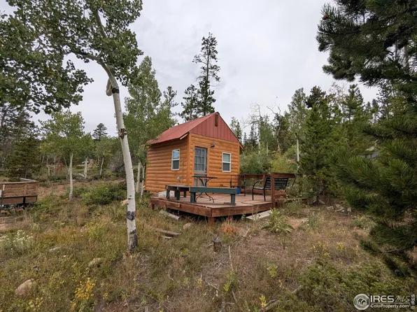 37 N Oneida Ct, Red Feather Lakes, CO 80545