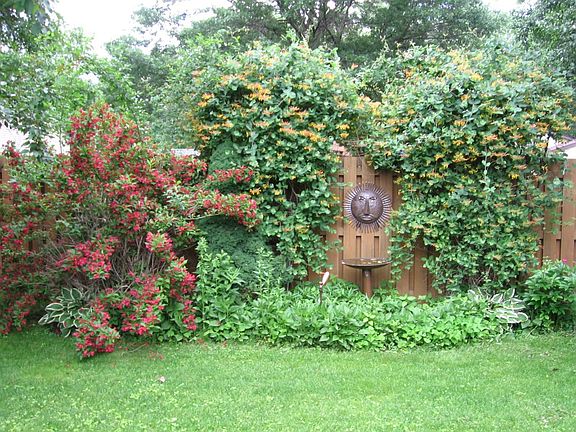 completely private backyard