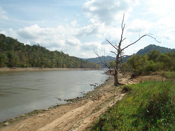2nd image of Long Beard Ln