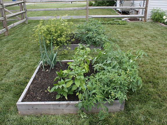 Square Foot Gardens