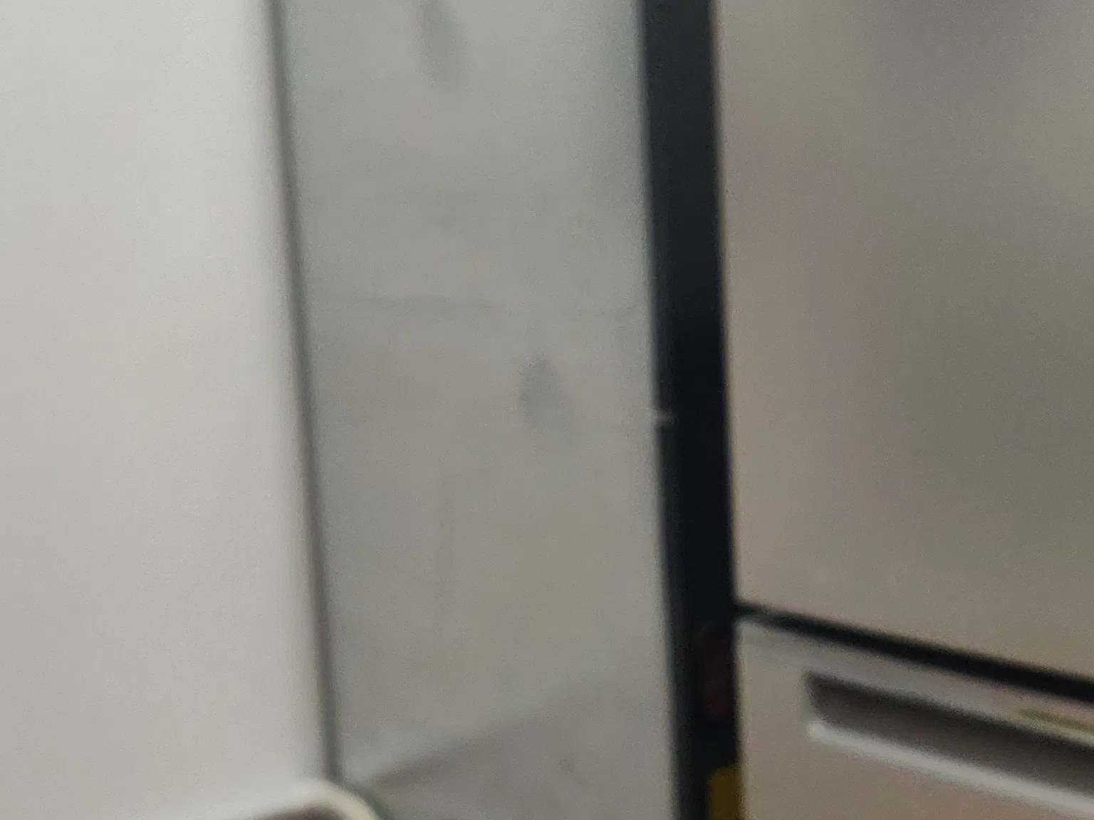 2 bed, 680 sqft, $1,450 — Photo 4