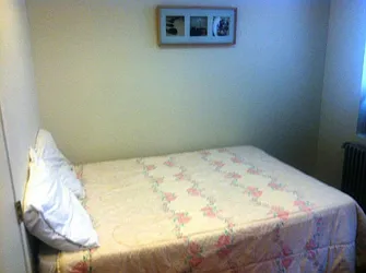 Rented by GPS Realty NYC