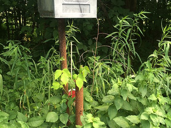 Post marks property line