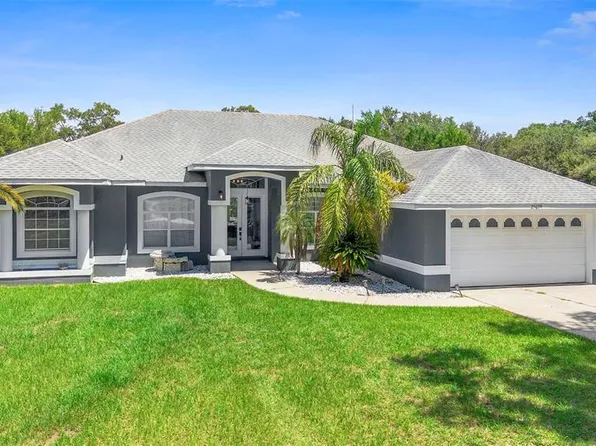 25039 Adair Ave, Sorrento, FL 32776