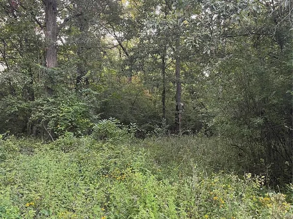 1560 Fox Run Rd, Elsberry, MO 63343