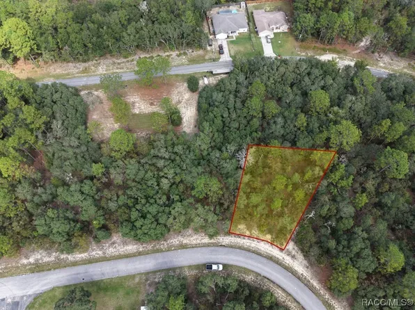 645 W Bancroft Dr, Citrus Springs, FL 34434