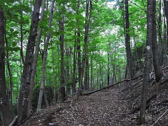 4th image of TBD Highland Laurel Lane