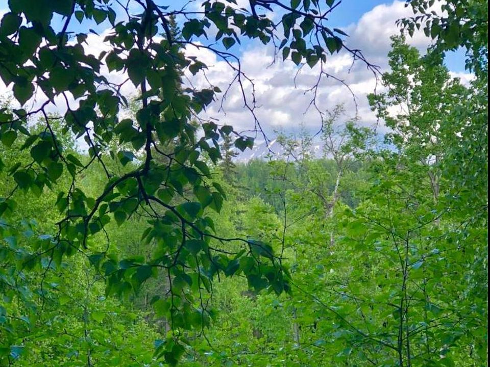 1st image of 10943 N Snowy Mountain Cir