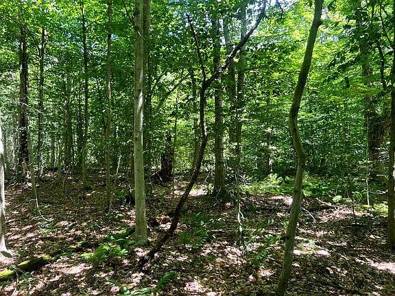 3rd image of 597 Bliven Coye Hill Rd Lot 2