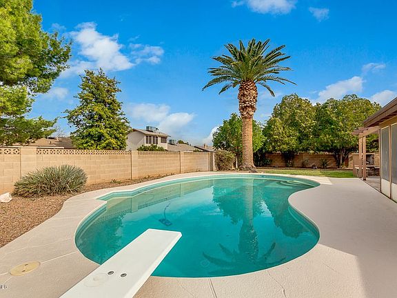 Diving Board