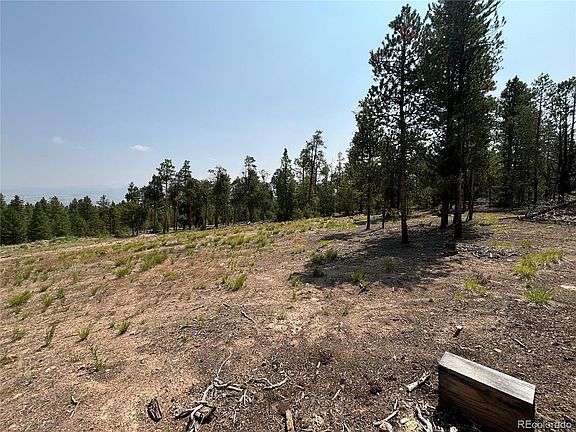 5th image of 360 Ponderosa Drive LOT 19
