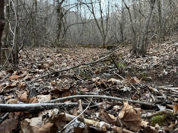 Tbd Copper Crk, Castlewood, VA 24224