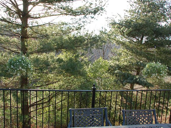 View from Deck