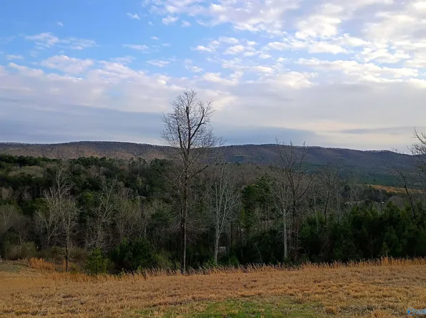 27 Magnolia Dr, Piedmont, AL 36272