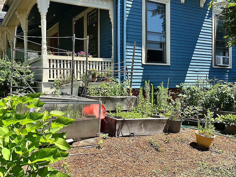 Communal garden for tenants