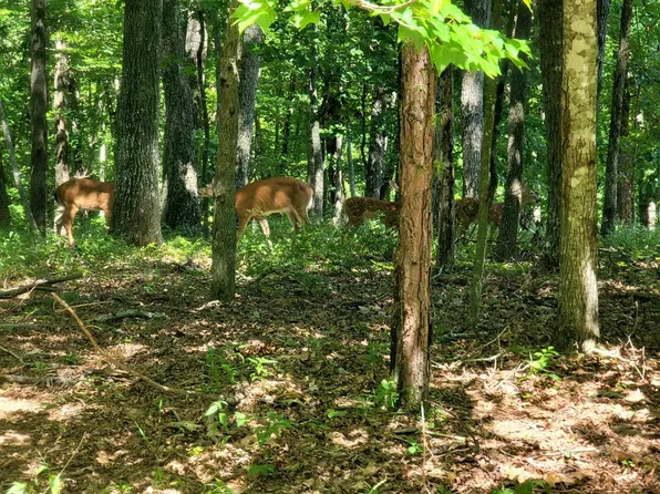 23 Harley Cir, Fairfield Glade, TN 38558