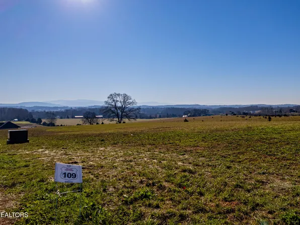 1109 Herbert Dr, Greenback, TN 37742