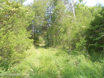 0 Harrison Fork Rd, Coxs Creek, KY, 40013