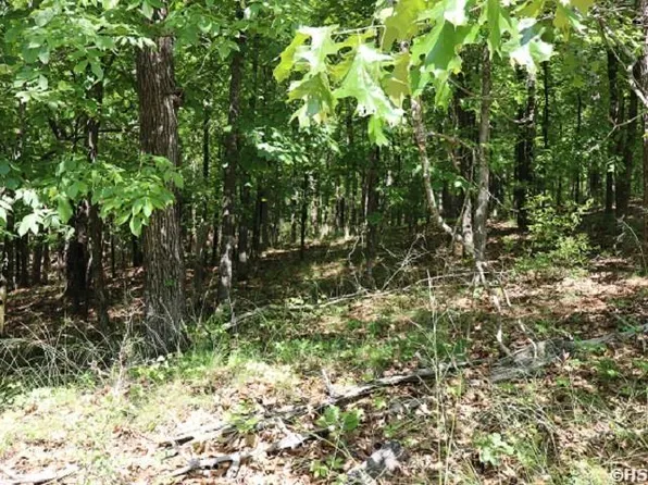 160 Tam O Shanter Ct, Hot Springs National Park, AR 71913