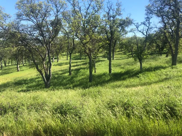 367 Knolls Dr, Copperopolis, CA 95228