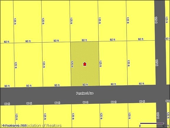 4th image of 716 Parakeet Ave