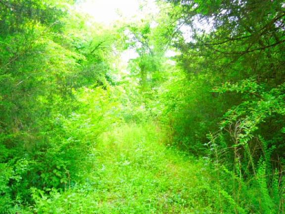 5th image of Holleman Bend Lane