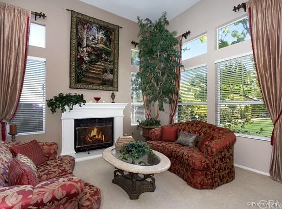4th image of 4019 Royal Summit Cir