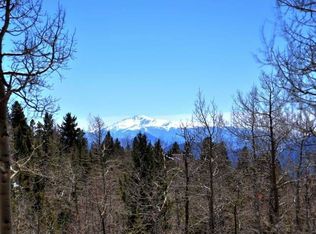 11203 Conifer Mountain Rd, Conifer, CO 80433