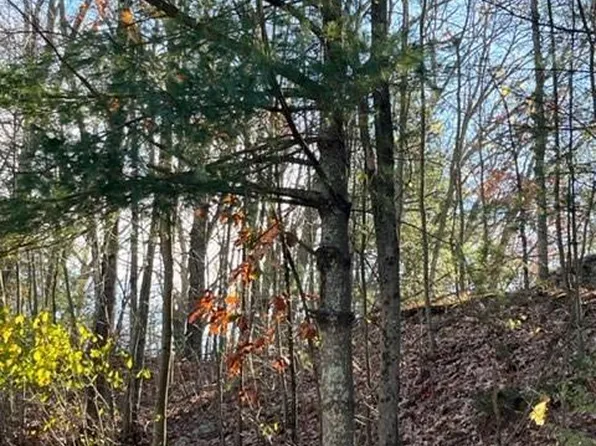 155 Groveland Avenue, Putnam, CT 06260