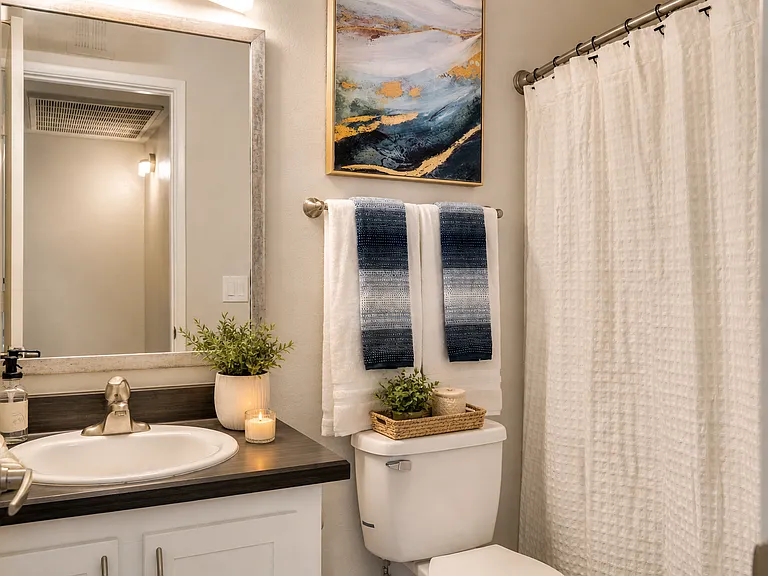 Modern and serene bathroom interior