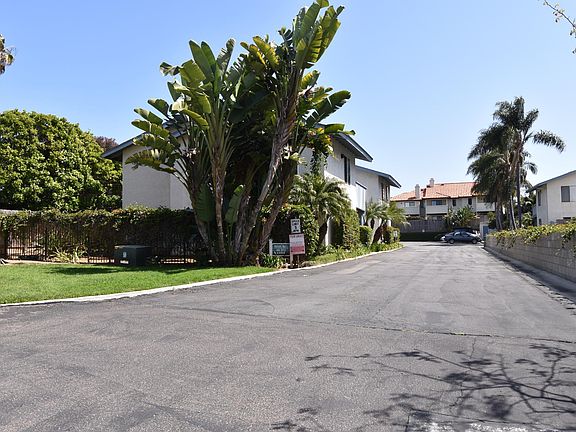 View from Tamarack into property