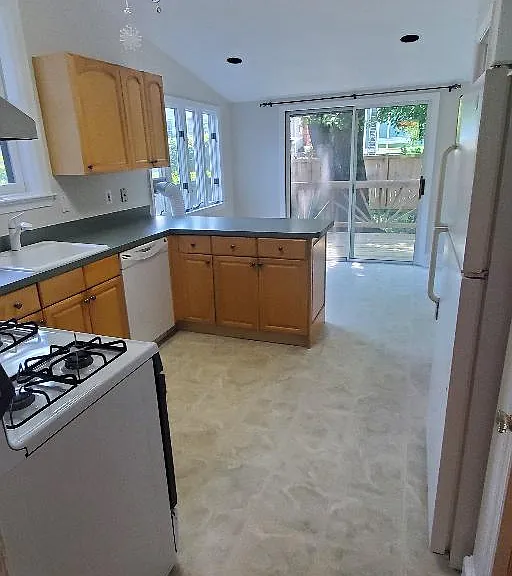 806 Violet Pl — Photo 6